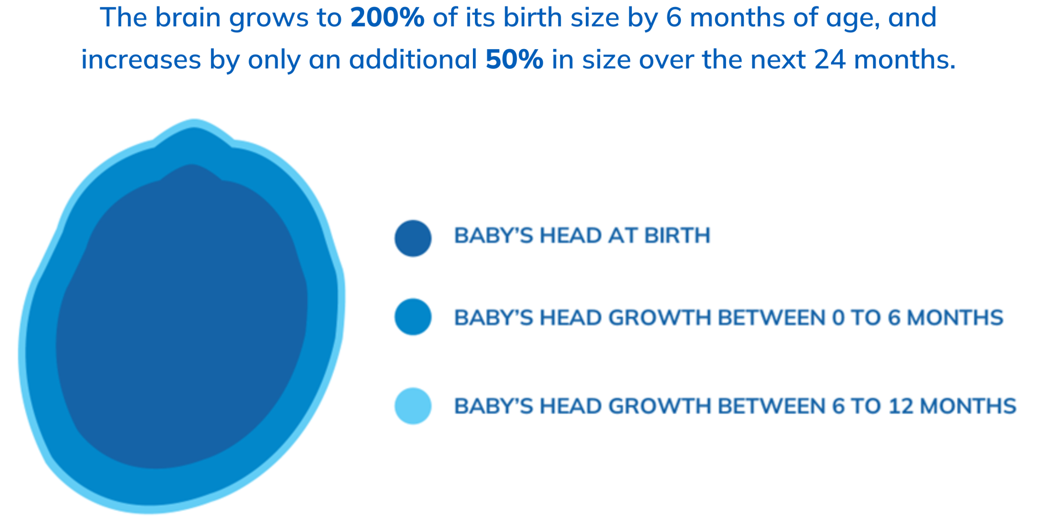 baby's head shape growth chart to figure out a health shape between birth to 12 months