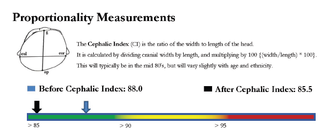 helps during cranial diagnosis by understanding the cephalic index and proportionality