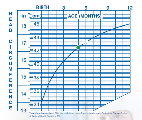 Head size growth chart from birth to 2 years of age