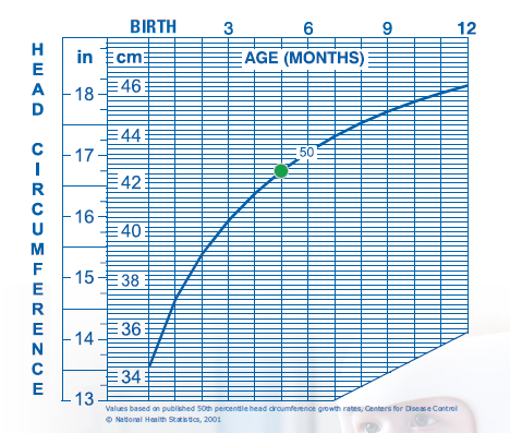 Head Growth Chart For Babies